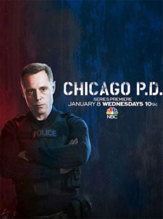 voir Chicago Police Department Saison 8 en streaming 