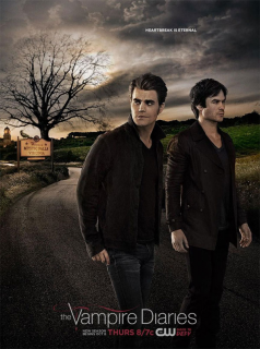 voir Vampire Diaries Saison 8 en streaming 