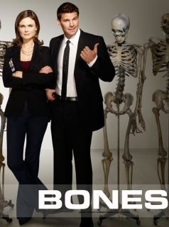 voir Bones Saison 12 en streaming 