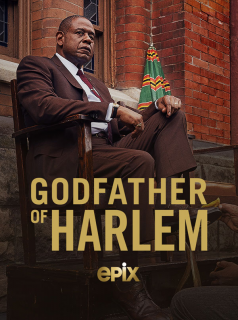 voir Godfather of Harlem Saison 2 en streaming 