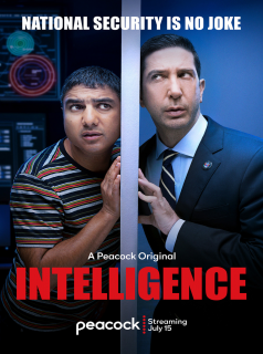 voir Intelligence Saison 1 en streaming 