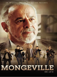 voir Mongeville Saison 8 en streaming 