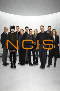 voir NCIS : Enquêtes spéciales saison 5 épisode 15