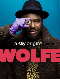 voir Wolfe Saison 1 en streaming 