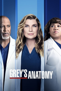 voir Grey's Anatomy saison 14 épisode 20