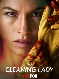 voir The Cleaning Lady Saison 1 en streaming 