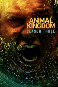 voir Animal Kingdom Saison 3 en streaming 