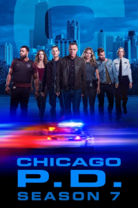 voir Chicago Police Department saison 7 épisode 3