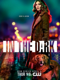 voir In the Dark (2019) Saison 1 en streaming 