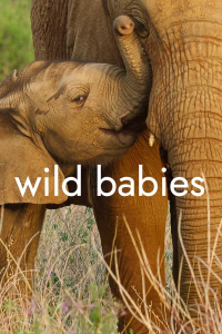 voir Wild Babies : Petits et Sauvages Saison 1 en streaming 